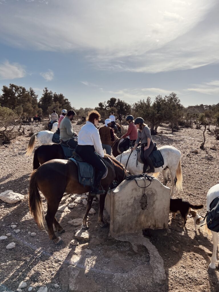 Day Ride with Picnic IMG 4113 768x1024