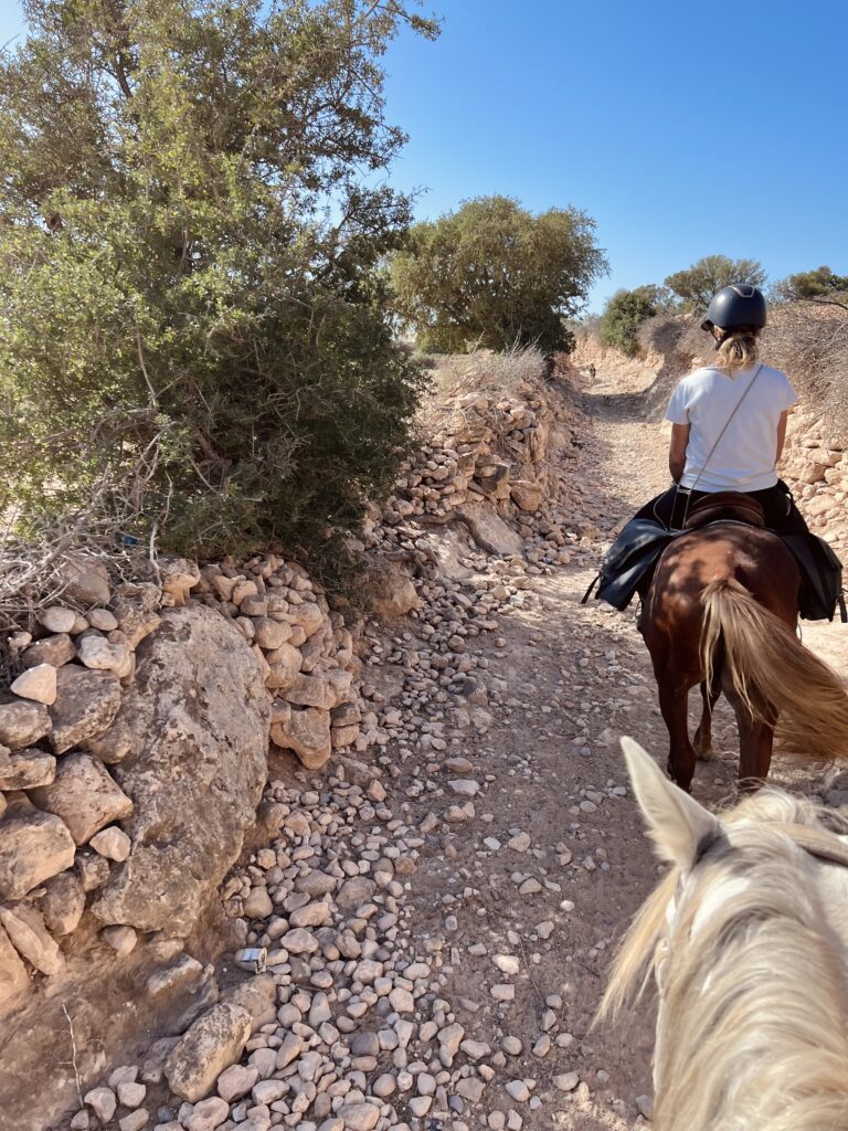 Day Ride with Picnic IMG 4321 1 768x1024