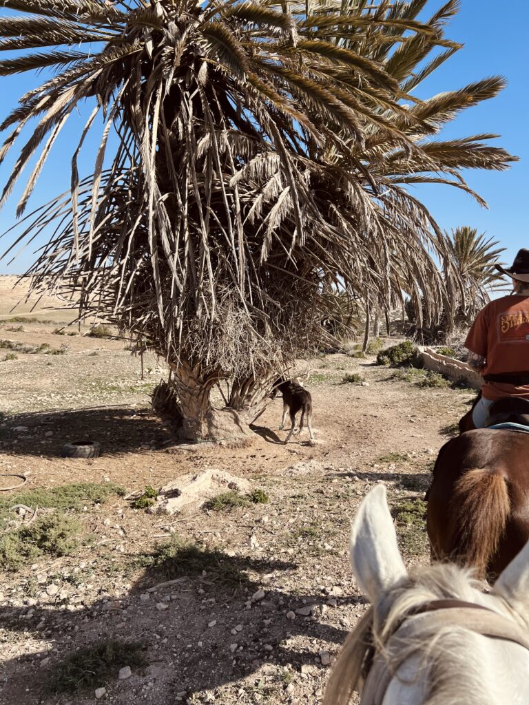 Day Ride with Picnic IMG 4732 768x1024