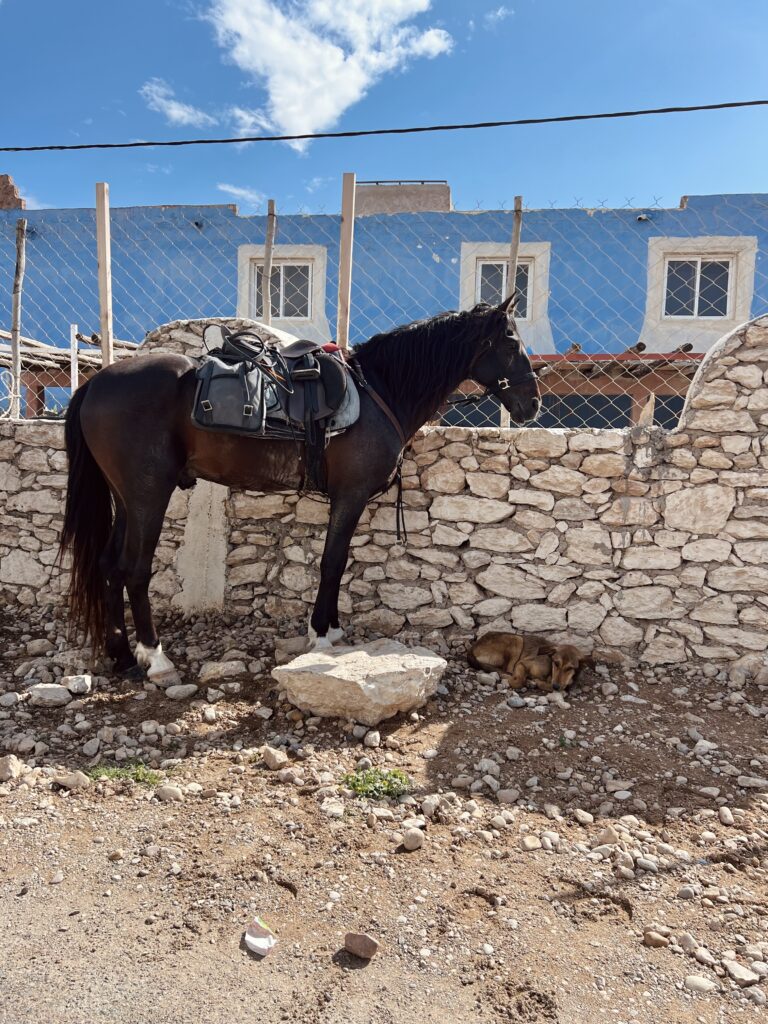 IMG 7619 768x1024