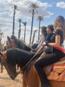 Ride in the Palm Grove whatsapp image 2026 09 29 at 18.35.12