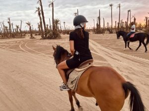 Sunset ride in the Palm Grove whatsapp image 2026 09 29 at 18.49.18 (1)