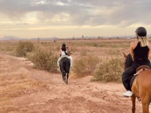 Ride in the Palm Grove whatsapp image 2026 09 29 at 18.50.35 (1)
