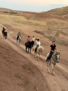Sunrise Horse Ride in Aït Benhaddou whatsapp image 2026 10 24 at 19.59.08