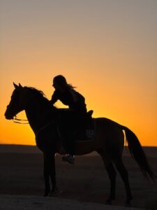 Sunset Horse Ride in Aït Benhaddou whatsapp image 2026 10 24 at 19.59.24